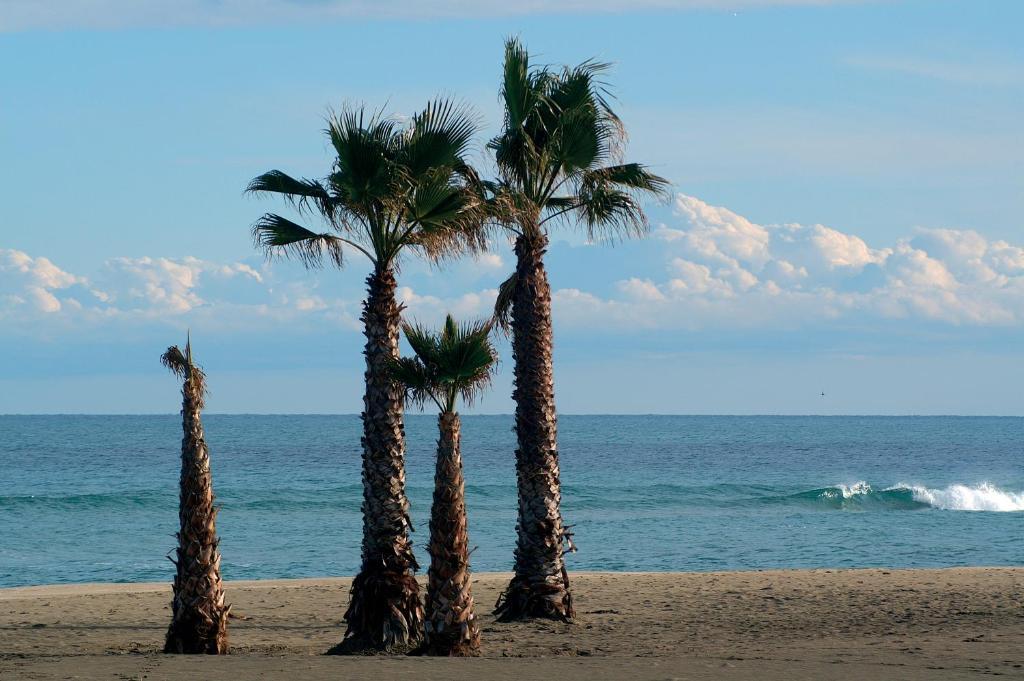 Hotel La Fregate Canet-en-Roussillon Buitenkant foto